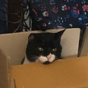 Meet your Posher, Susy